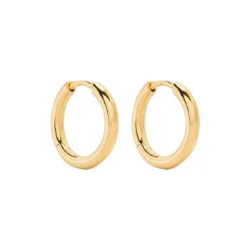 Maria Black Gold Slate 12 Huggie Earring