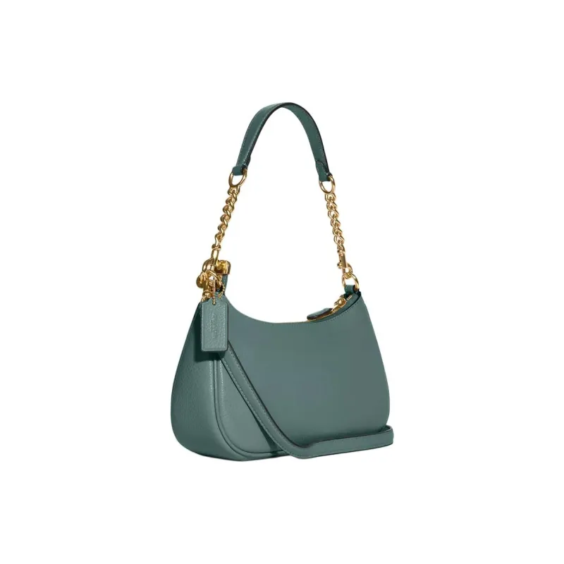 COACH Teri Handbags-1