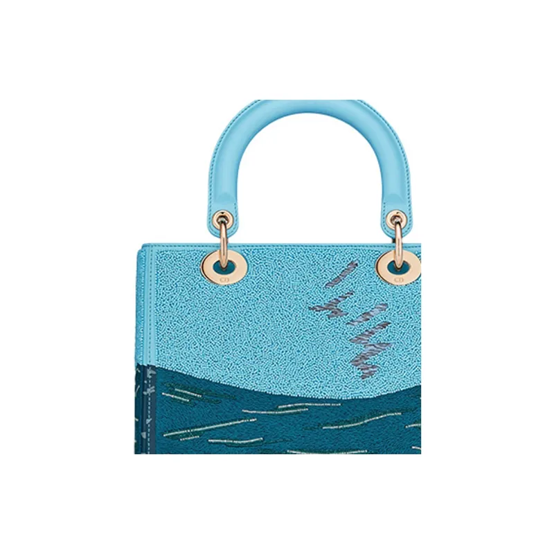 DIOR Lady DIOR Handbags-4