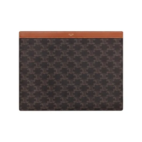 CELINE Triomphe Canvas With Calfskin Storage Bag Men's Black