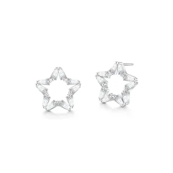 ZSY Silver 925 Stud Earrings Women's Box, Included For Girlfriend