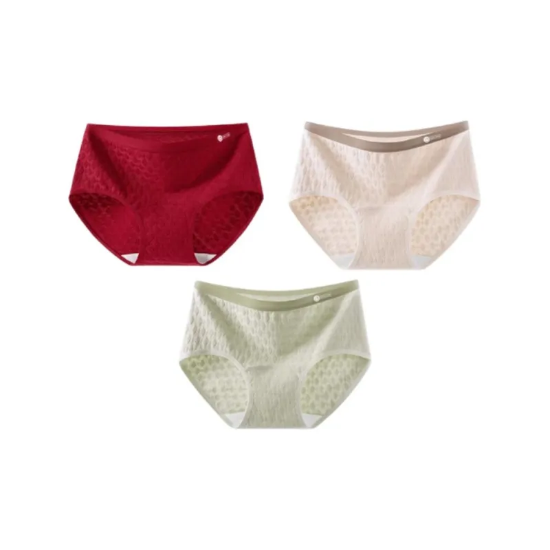 Ordifen Underpants Women's 3 Pack-3