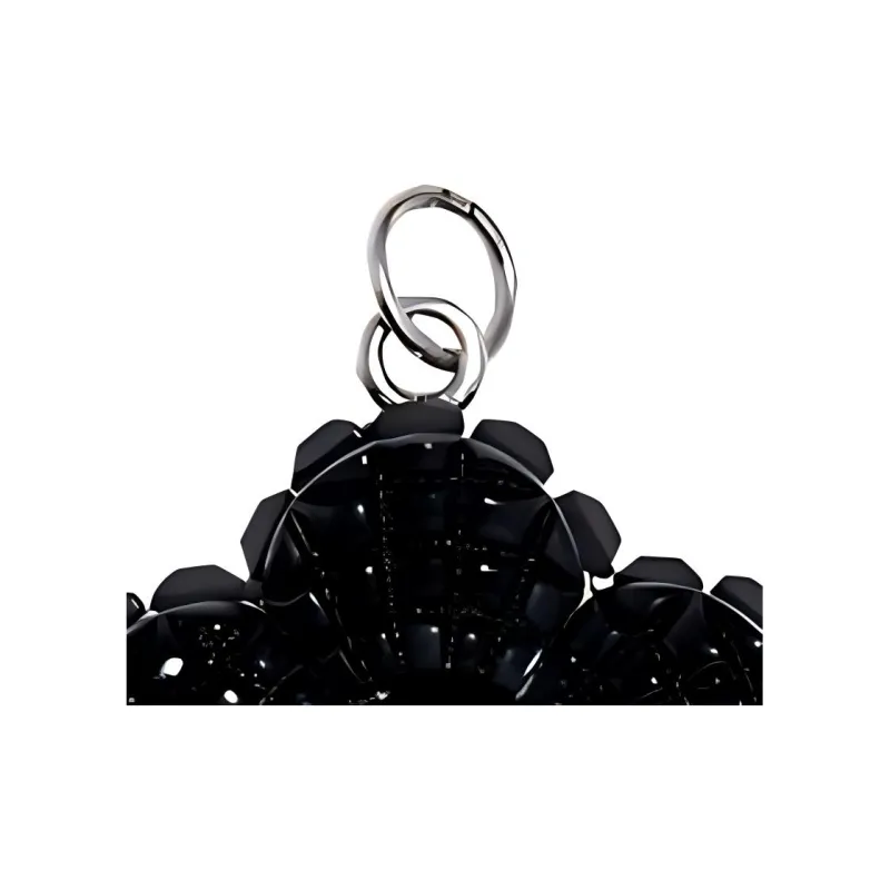 COACH Bag Accessories-1