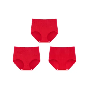 Ordifen Underpants Women's 3 Pack