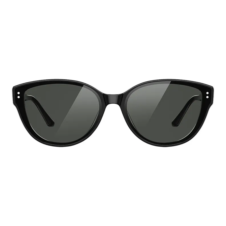 HELEN KELLER Plate Frame Cat Eye Sunglasses Unisex-2