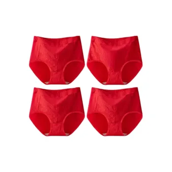 Ordifen Underpants Women's 4 Pack