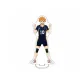 Shoyo Hinata Style
