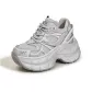 Silver Gray
