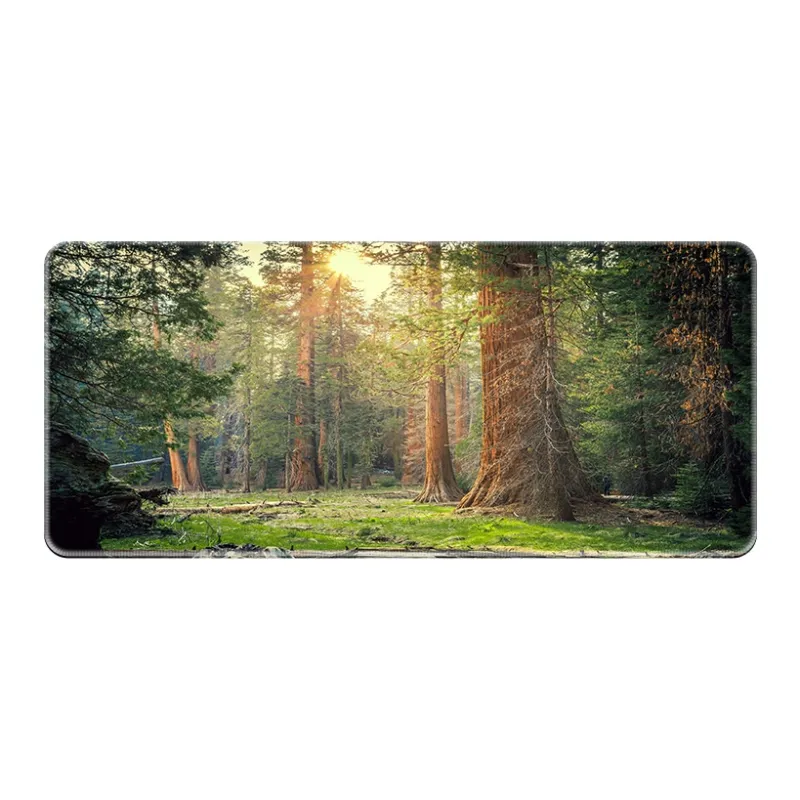 ZHUANGXINGXIA Mouse Pads-1