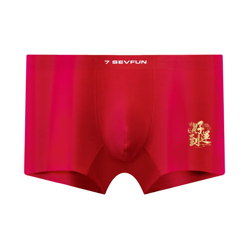7 SEVFUN Underpants Men's Combo Set-9