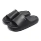 Obsidian Black