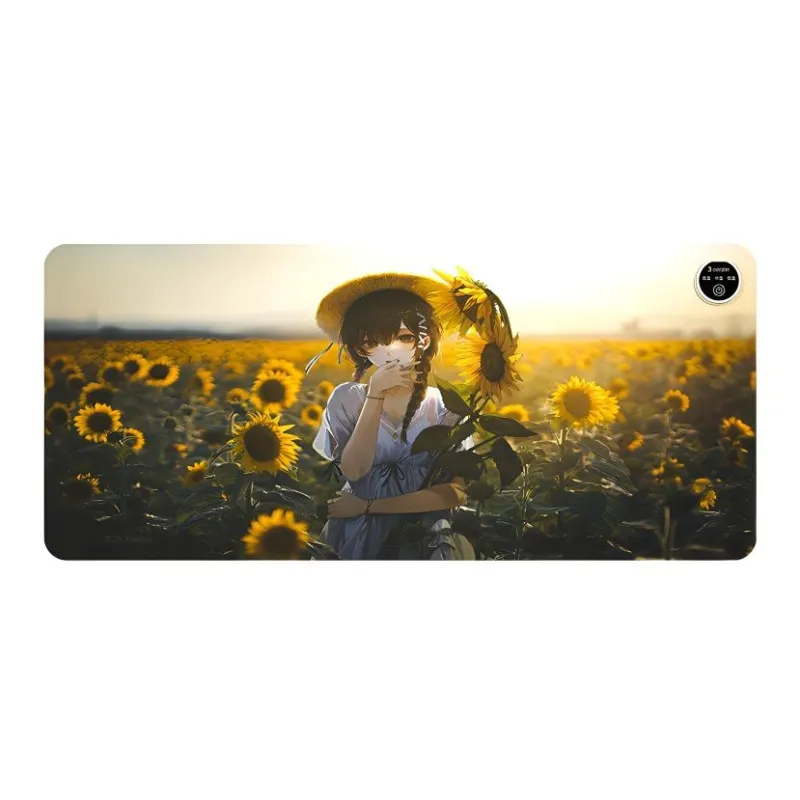 Directions Extra Large Heating Desk Pad LY1181 1190 For Students Dormitory Office Writing Mouse Pads-3
