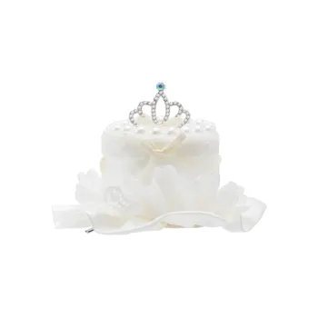ZANC Hair Clips Women's