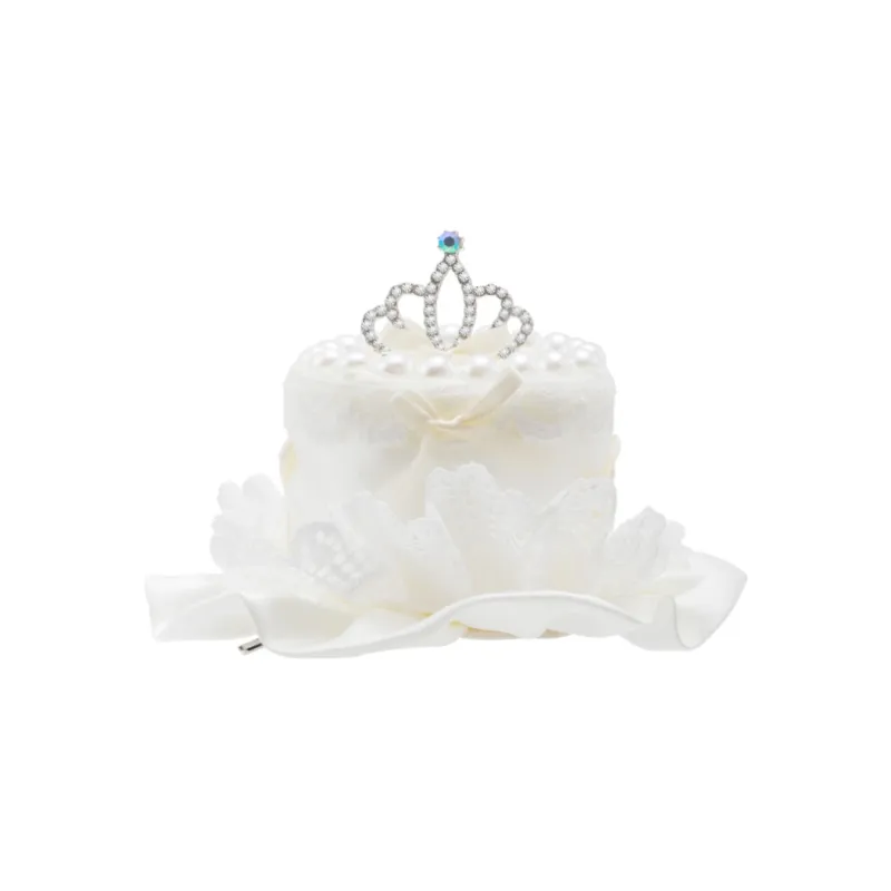 ZANC Hair Clips Women's-0