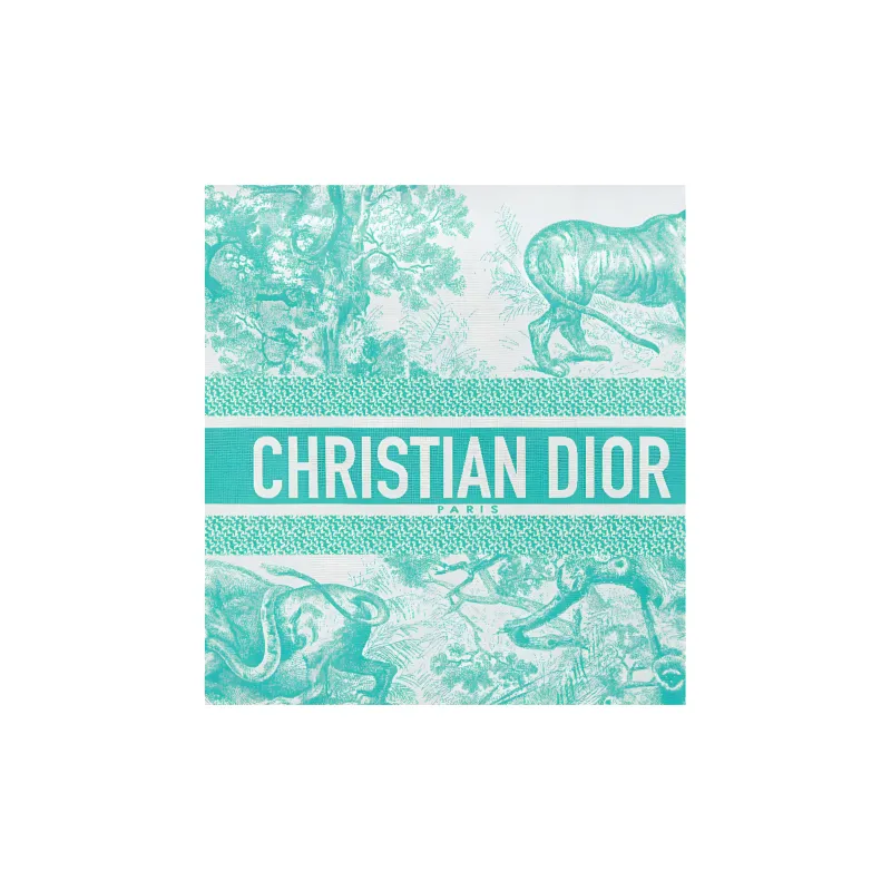 DIOR DiorTravel Technical Fabric Clutch Women's Mint Green-3