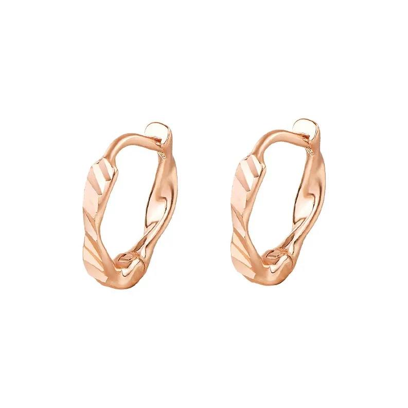 QIDUYINSHI S925 Silver Earrings Unisex-4
