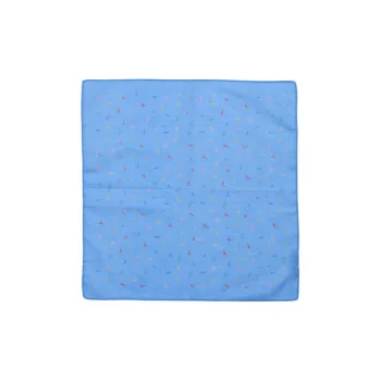 Paul Smith - Silk Scarves Unisex Light Blue