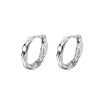 Ascending S925 Silver Earrings Unisex