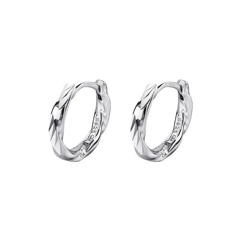 Ascending S925 Silver Earrings Unisex-0