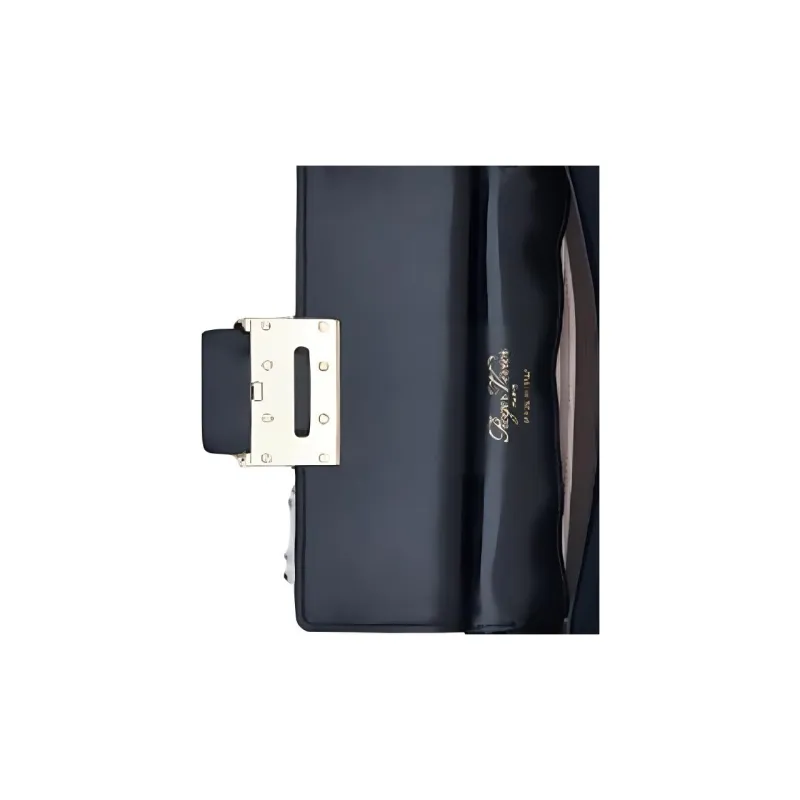 Roger Vivier Velvet Clutches Handbags Mini Women's Black-3