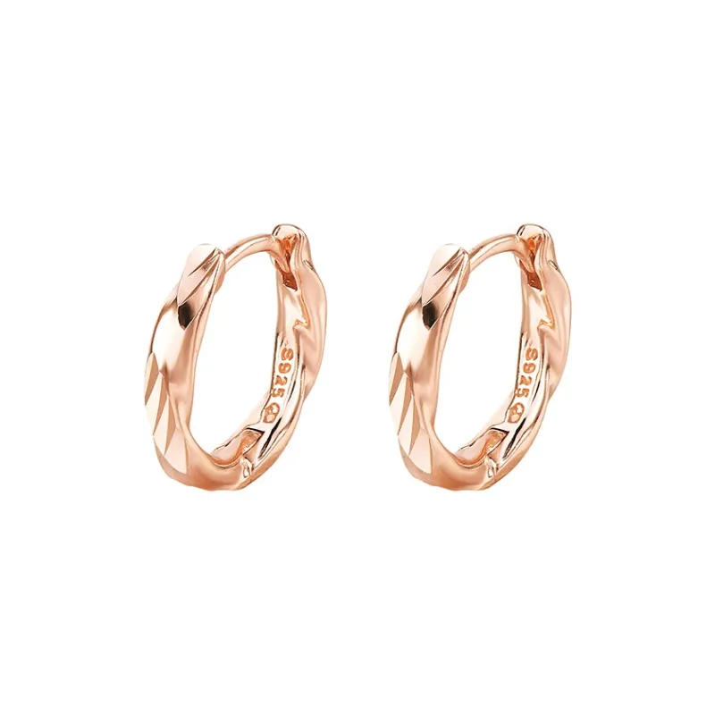 Ascending S925 Silver Earrings Unisex-4