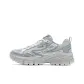 Antarctic Gray/Silverware Gray