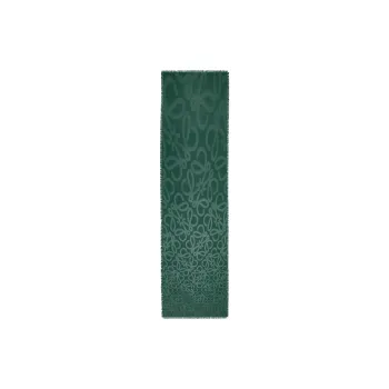 LOEWE Wool Knit Scarves Women's Green