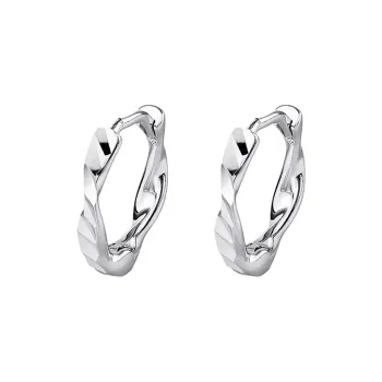 QIDUYINSHI S925 Silver Earrings Unisex