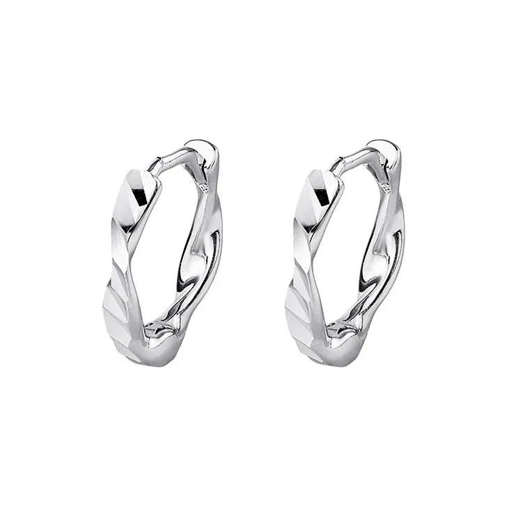 QIDUYINSHI S925 Silver Earrings Unisex-0
