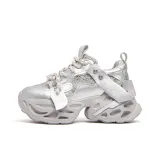 Silver Gray