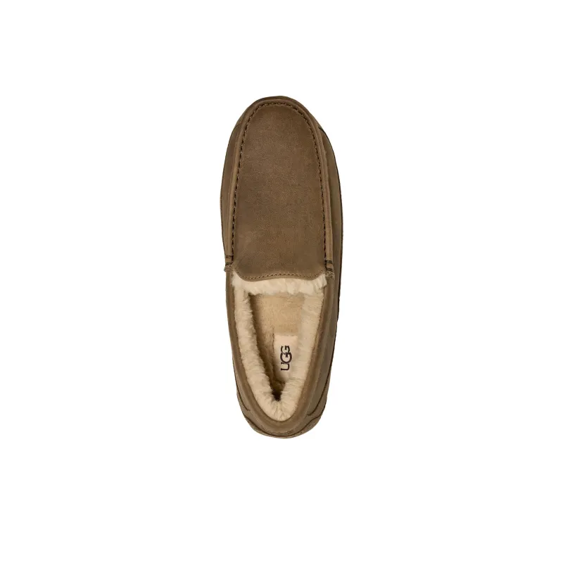 UGG Ascot Slipper Antilope-2