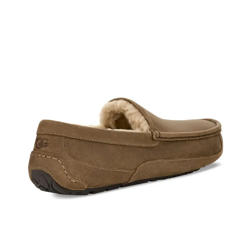 UGG Ascot Slipper Antilope-3