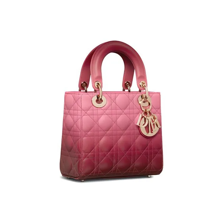 DIOR Lady DIOR Handbags-1