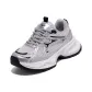 Silver Gray