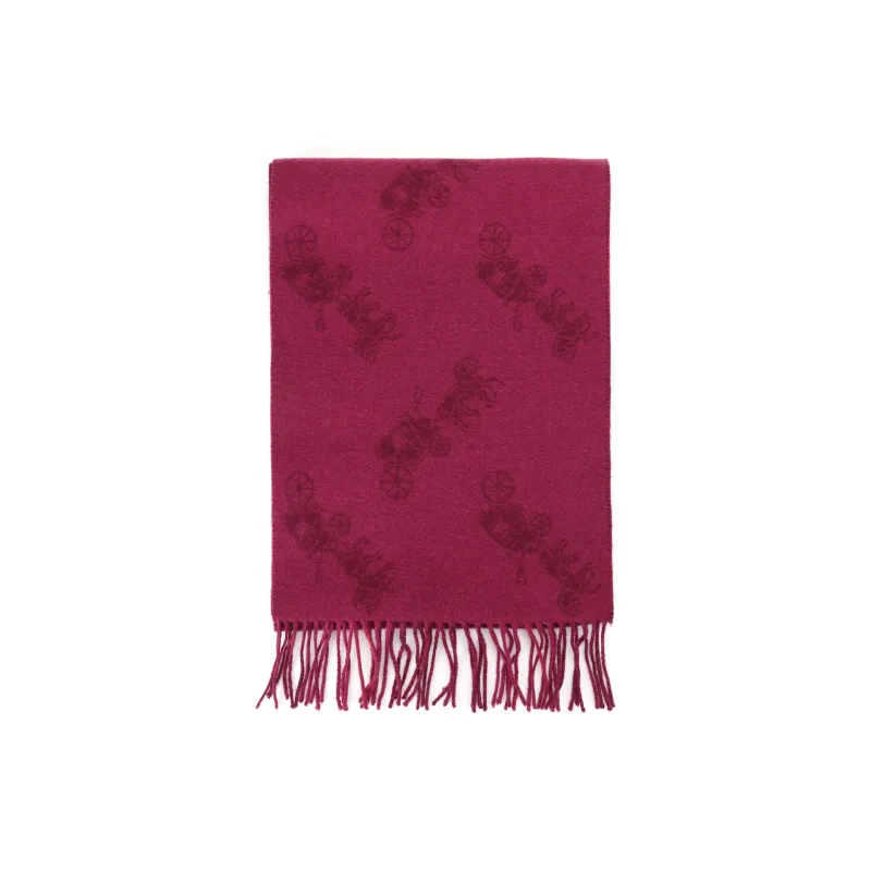 COACH Knit Scarves Women's-1