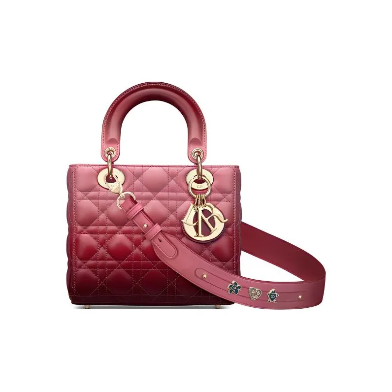 DIOR Lady DIOR Handbags-0