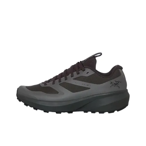 Arcteryx Norvan LD 3 Anti-Slip Wear-Resistant Low-Top Running Shoes Men's Gray Black