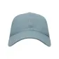 PFE-Blue Gray