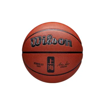 Wilson NBA PU Basketball Vintage Brown Size 7 Ball Training Unisex