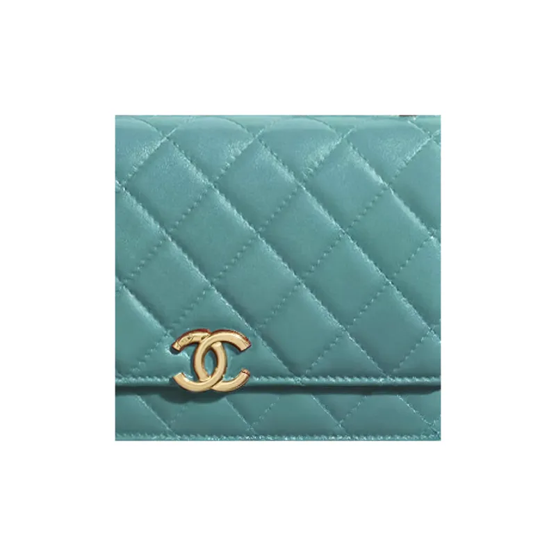 CHANEL Calfskin & Metal Wallet On Chain Coin Purse Crossbody Bag Women's Green-1