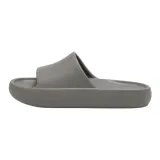 Cloudy Gray