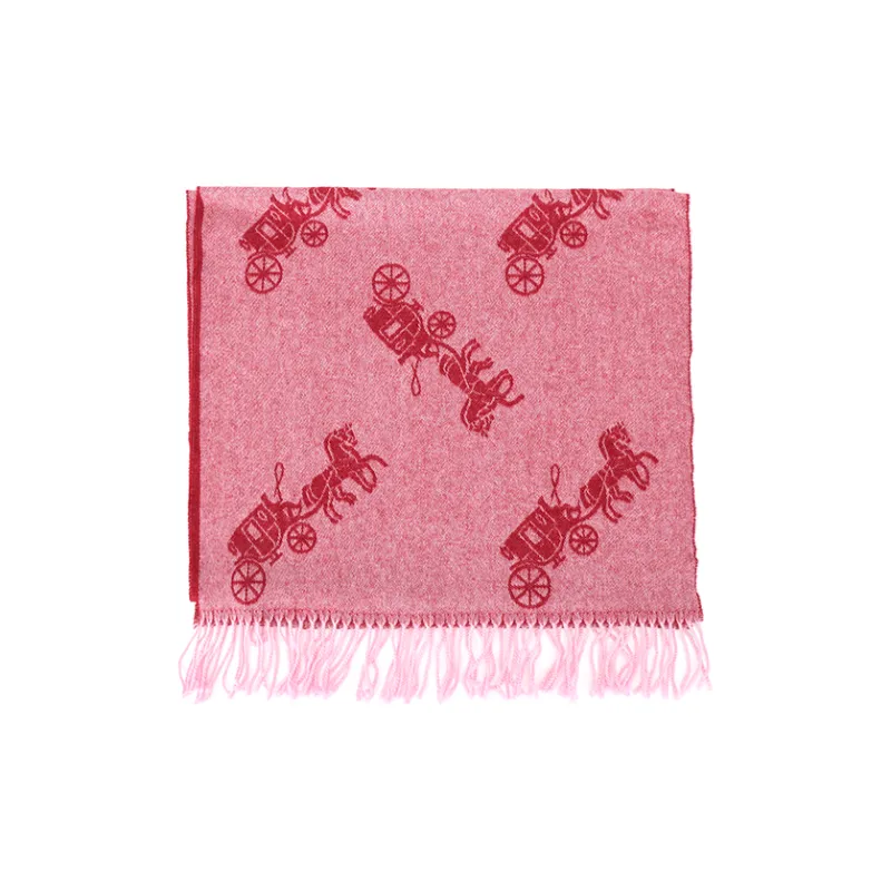 COACH Knit Scarves Unisex-1