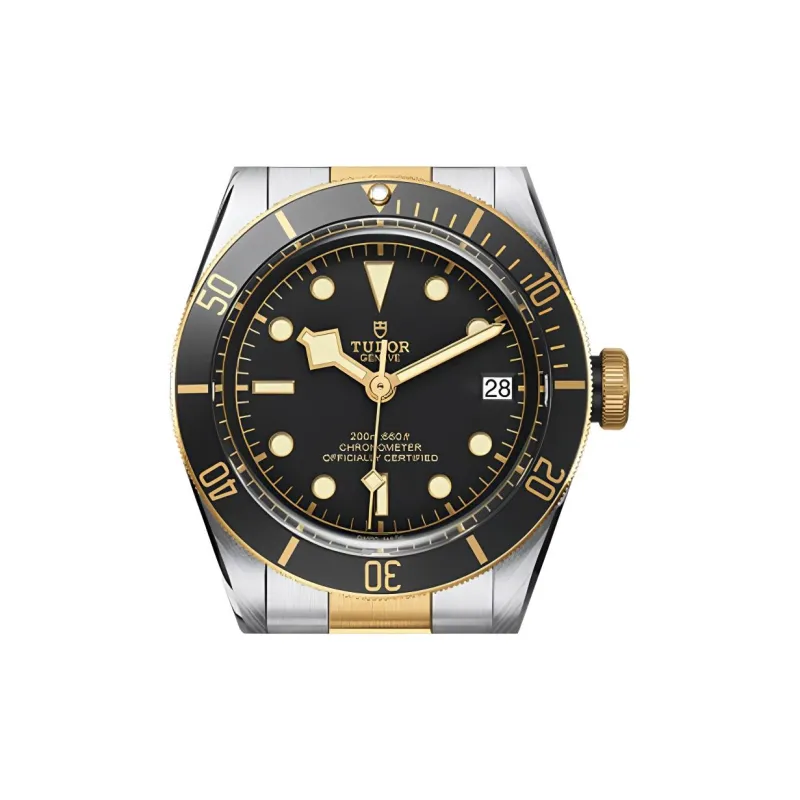 TUDOR Black Bay M79733N-3