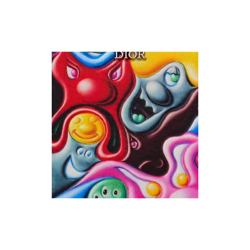 DIOR KENNY SCHARF Collaboration Nylon Fabric Small Clutches Men's Multicolor-3