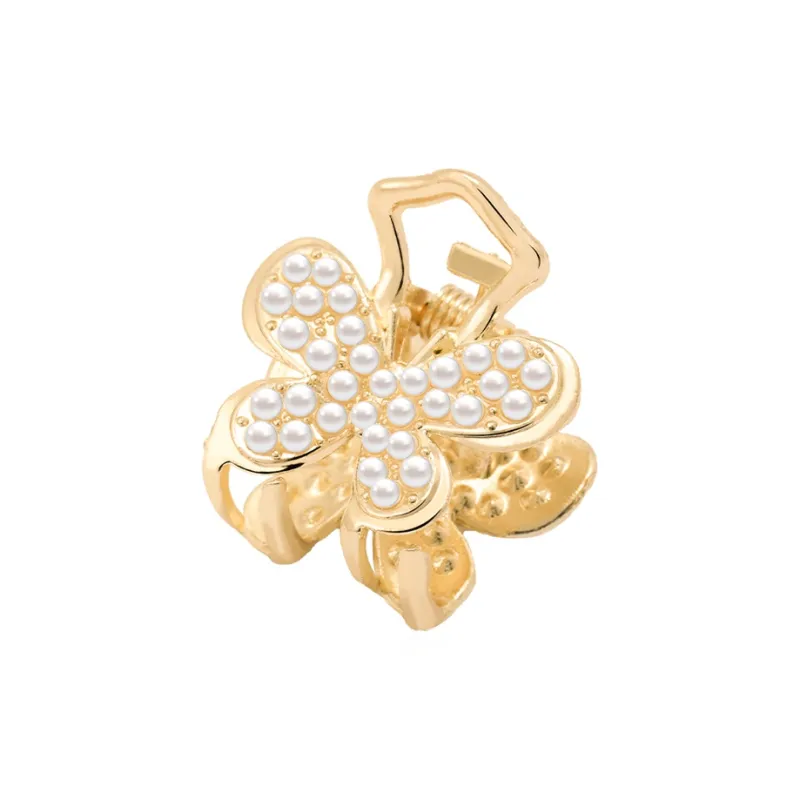 ZANC Hair Clips Women's-5