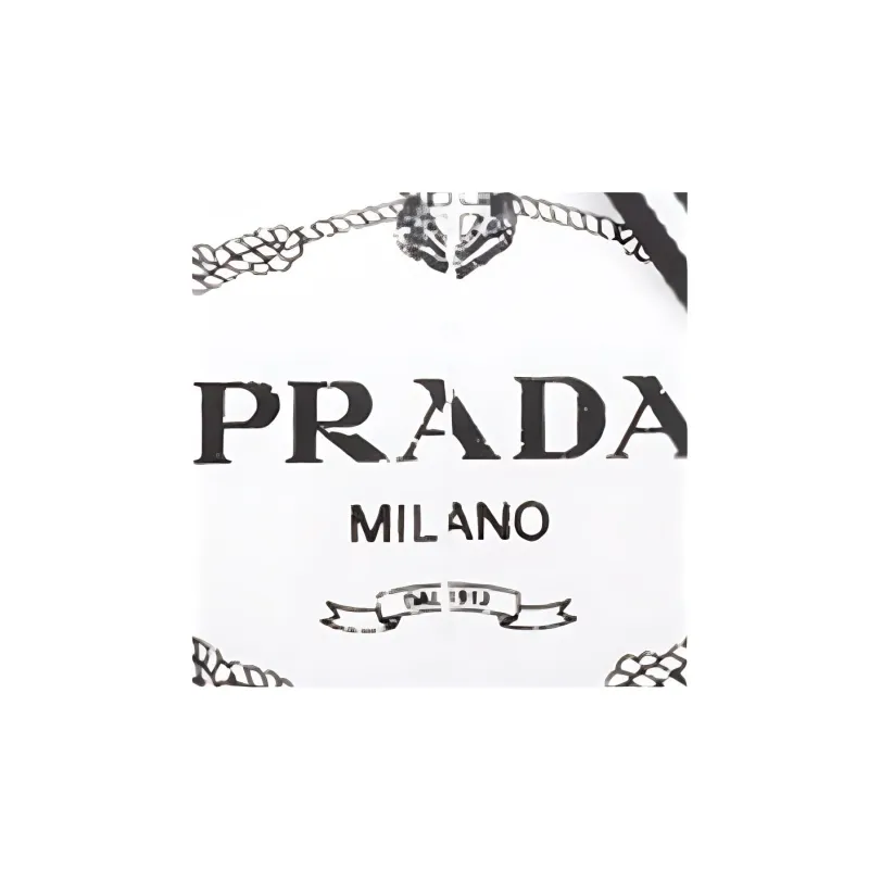 PRADA Canvas Canvas Bag One Shoulder Handbag Women's White-3