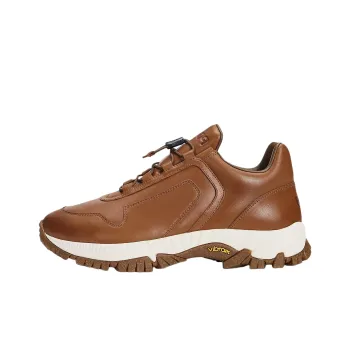 Polo Ralph Lauren Grayson Low-Top Casual Shoes Women's Brown