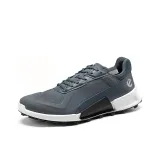 Blue Gray