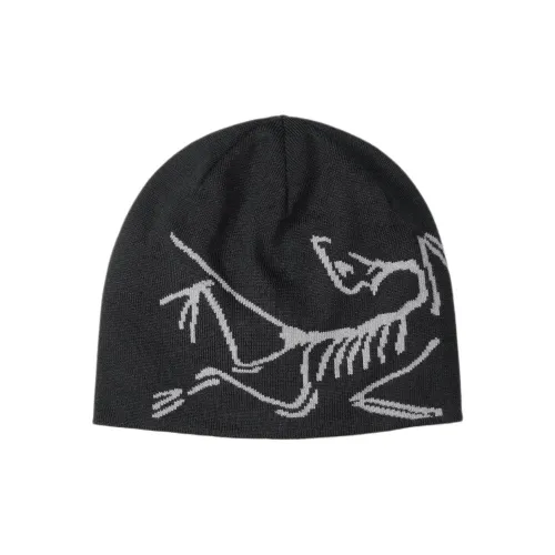Arcteryx Lightweight Bird Head Toque Beanie