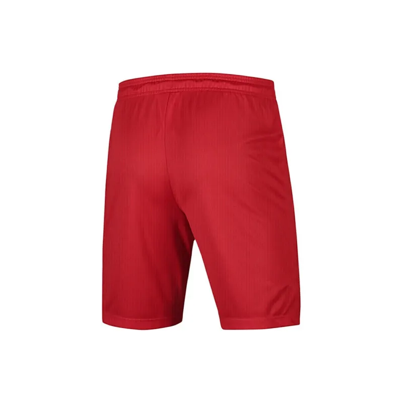 Nike Sports Shorts Men Red-1